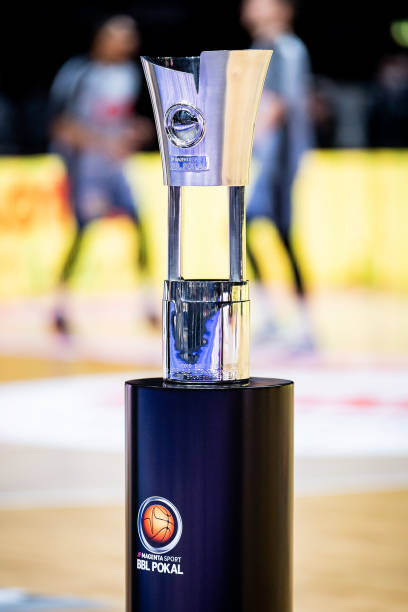 这一决定 这一决定