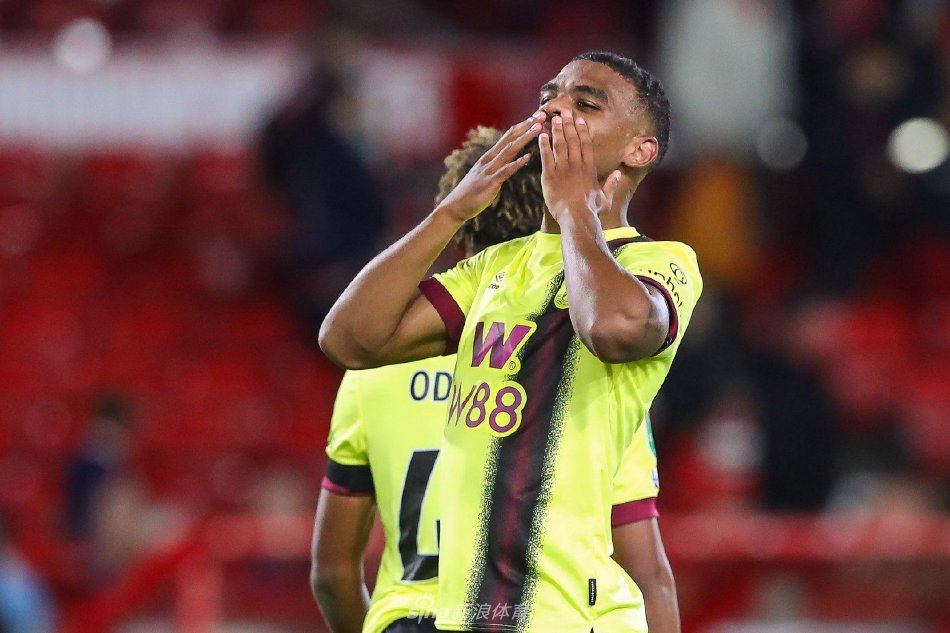 许多日本青 许多日本青