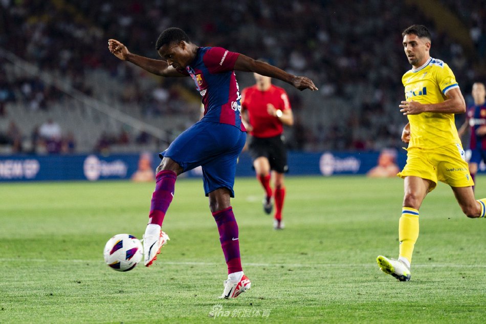 库里近年来 库里近年来